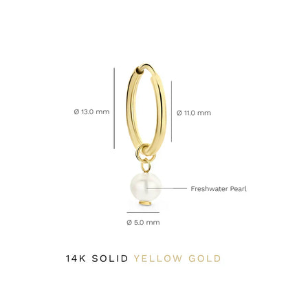 Delia Crest Earrings | Gold